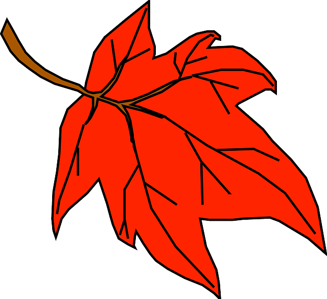 RED, FALL, OUTLINE, YELLOW, LEAF, TREE, CARTOON, ORANGE - Public ...