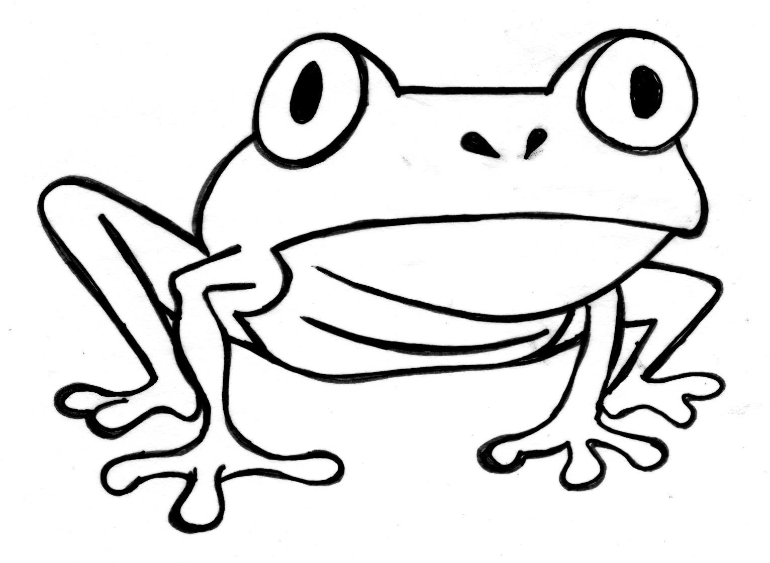 Line Drawings Outline Of A Frog New In Concept Online - superb ...