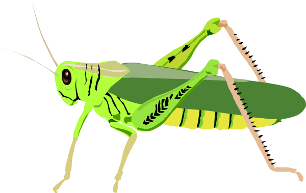 Cute Cricket Insect Clipart