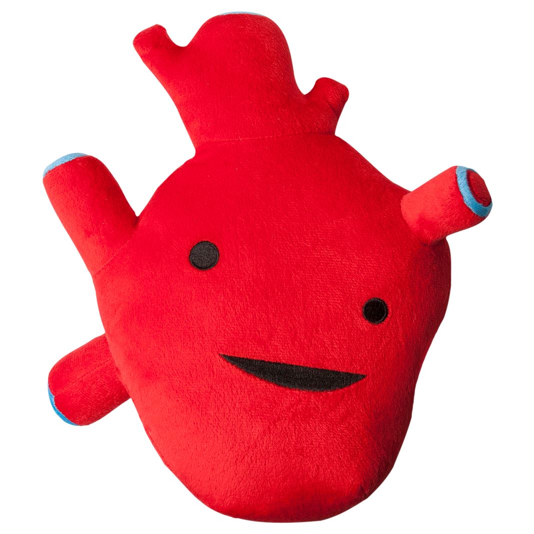 I Heart Guts Plush Internal Organs Soft Toy | eBay