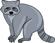 Free Raccoon Clipart - Clip Art Pictures - Graphics - Illustrations