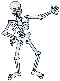 Skeleton, Bone Structure - Human Body - k12flash Games ...