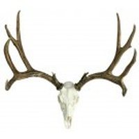 European Mount Pictures, Images & Photos | Photobucket