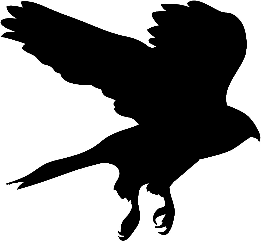 Hawk Silhouette Clipart