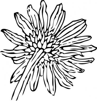 Sunflower Line Drawing - ClipArt Best