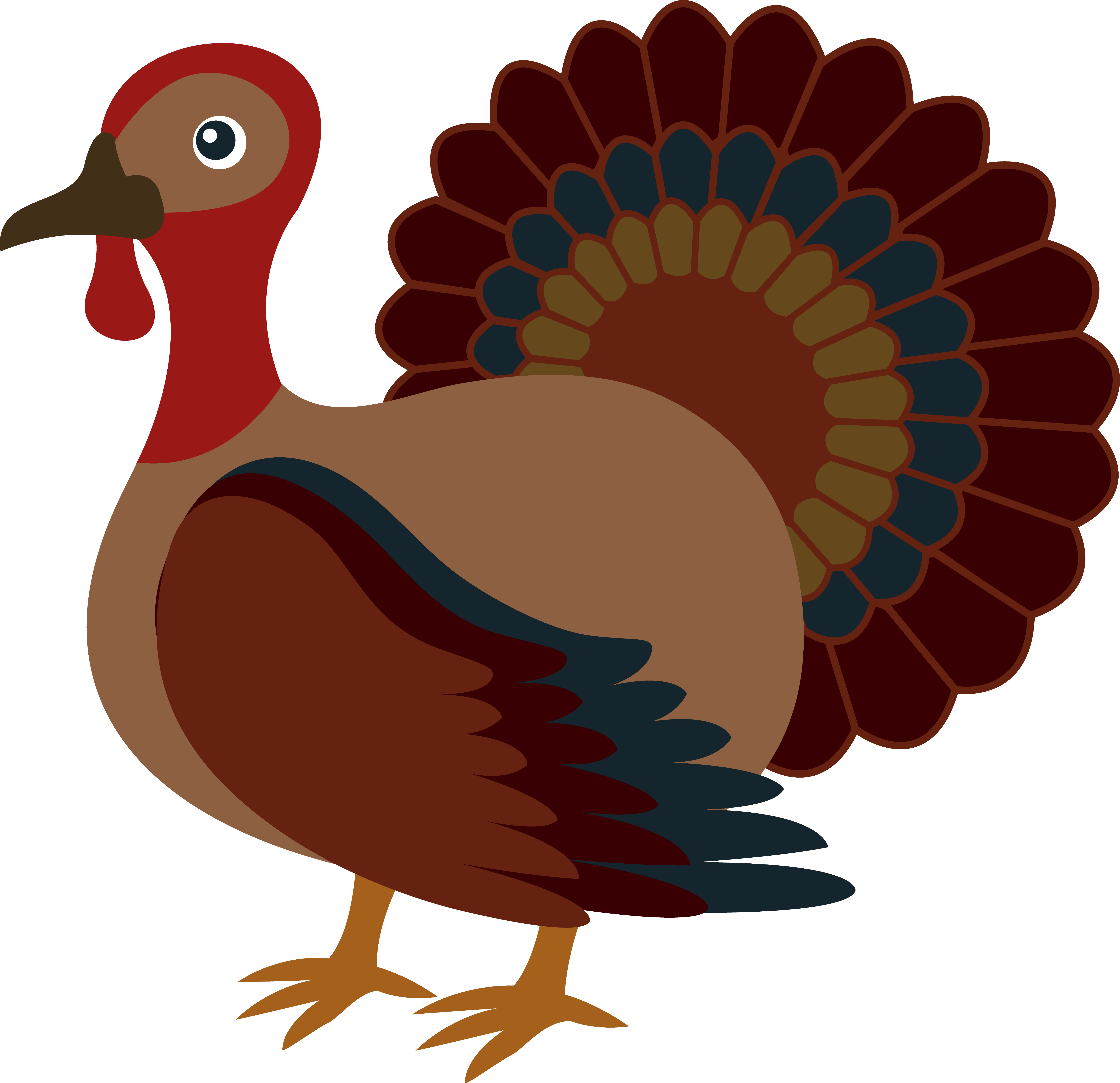Thanksgiving Turkey Photos | Free Download Clip Art | Free Clip ...