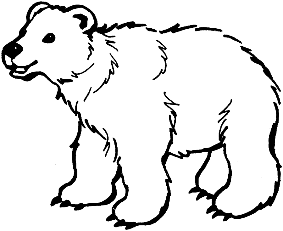 Polar Bear Clipart images