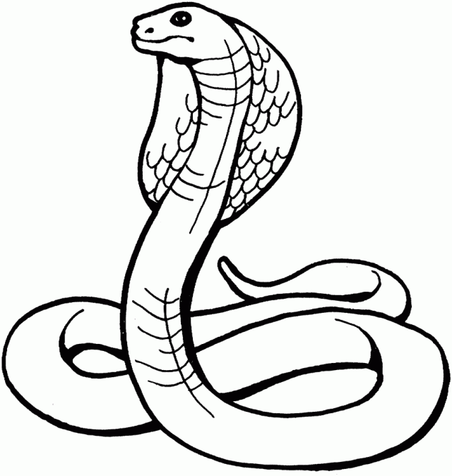 Cobra snake - Free Printable Coloring Pages