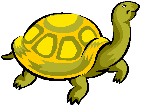 Image - Turtle.gif - Degrassi Wiki