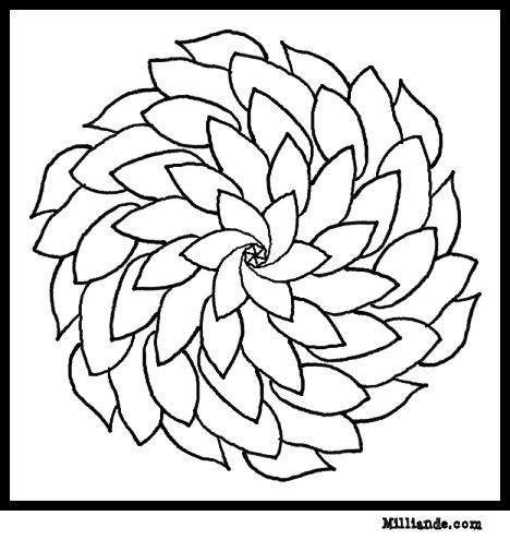 Free Printable Flower Coloring Pages | Printable Coloring Pages