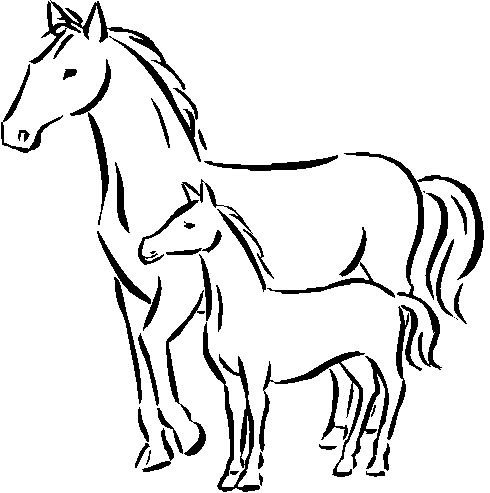 Horse Coloring Pages