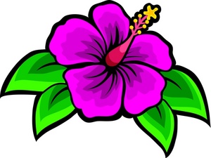 Hibiscus Flower Clipart