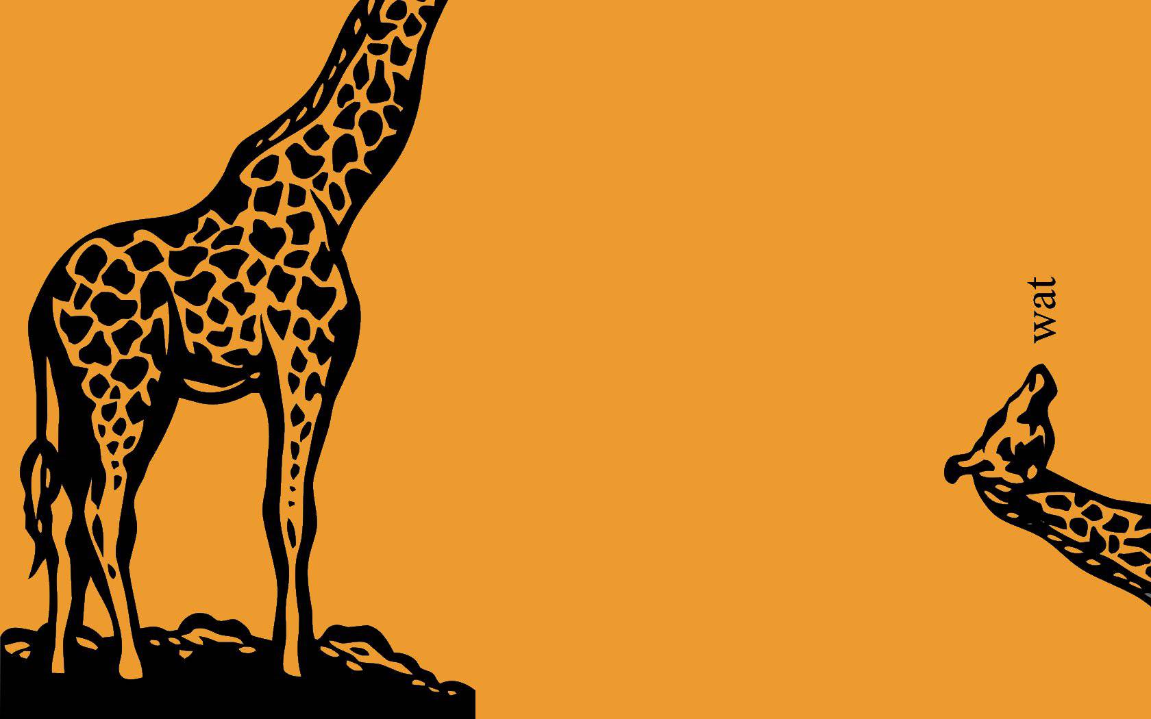 Giraffe wallpaper | 1680x1050 | #46222