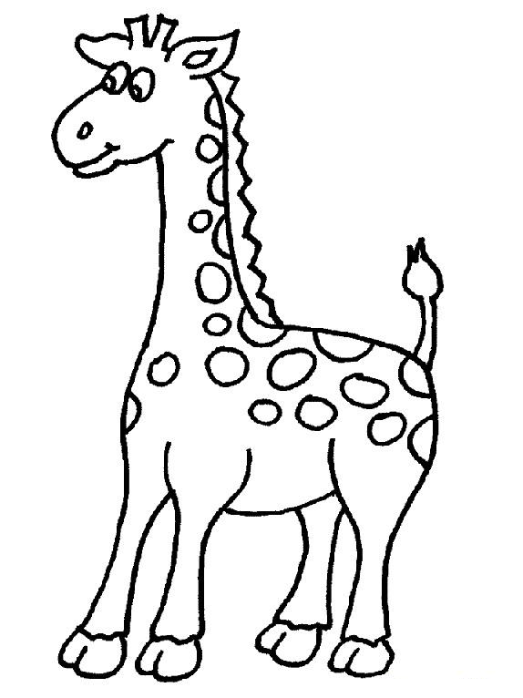 Giraffe Line Art