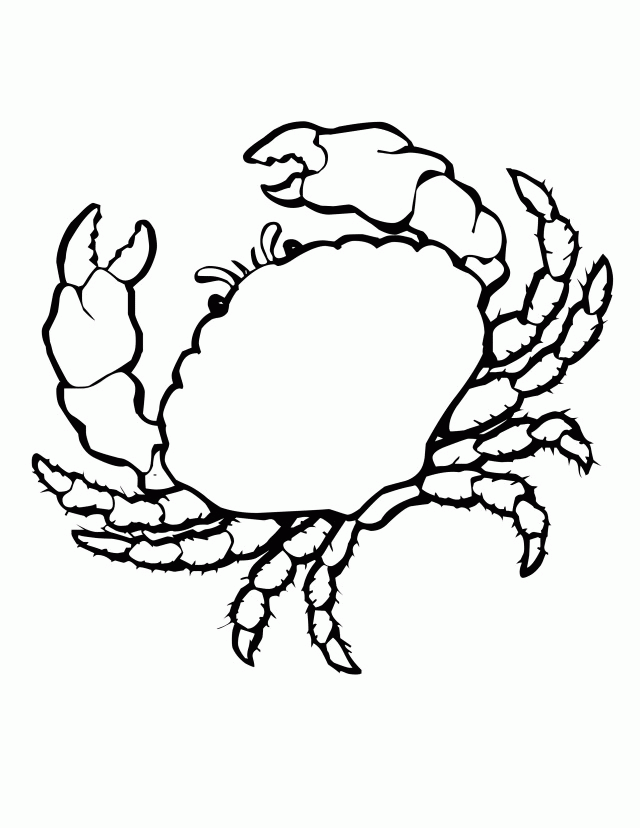 Sea Shell Coloring Page - AZ Coloring Pages