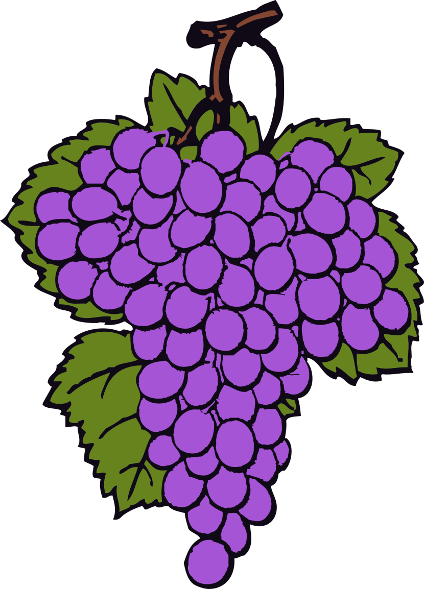 Grapes Clipart - Clipartion.com