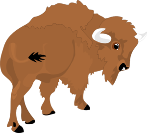 Bison Clipart - Tumundografico