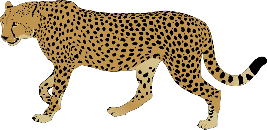 Cheetah Clipart - Free Clipart Images