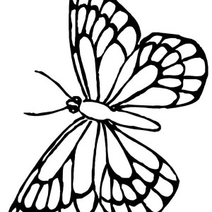 Download Online Coloring Pages for Free - Part 164