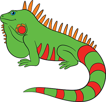 Iguana Clip Art, Vector Images & Illustrations