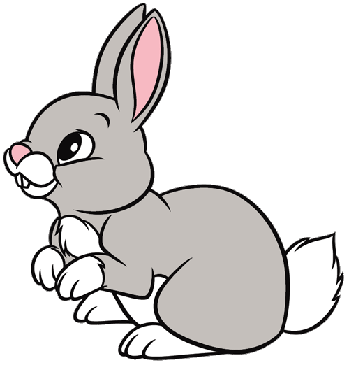 Cartoon bunny with transparent background clipart