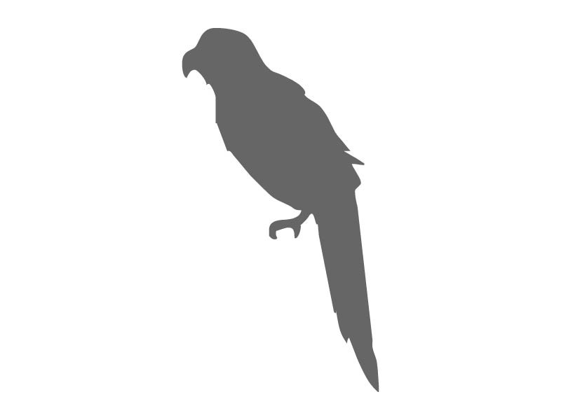 Stencil Bird - ClipArt Best