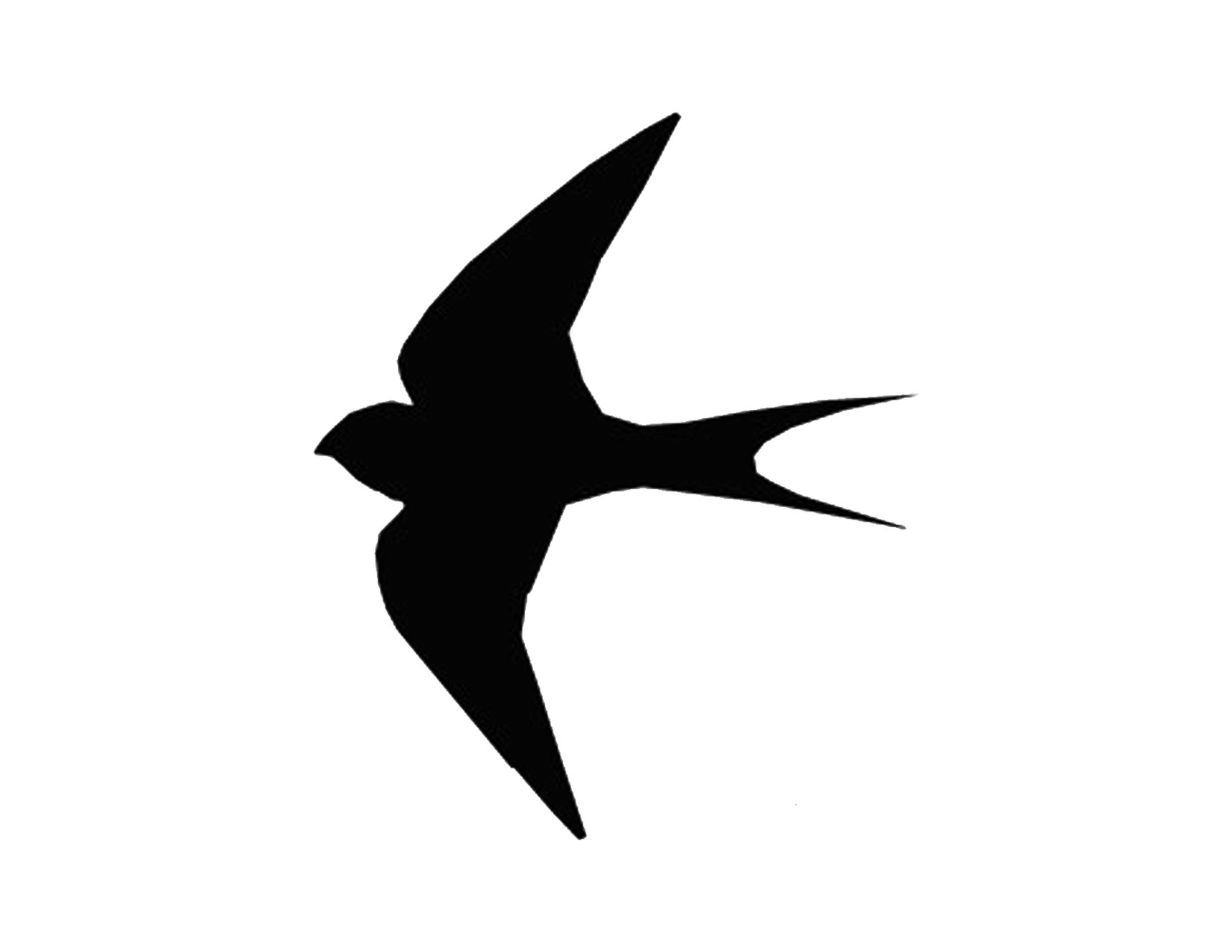Free Printable Flying Bird Silhouettes