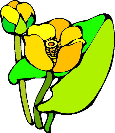 Clip Art Water Lily 478776 Clipart - Free to use Clip Art Resource