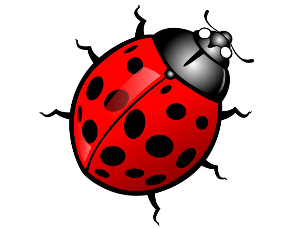 Clipart insects and bugs
