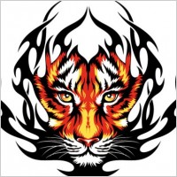 Tiger paw Free vector for free download (about 2 files).