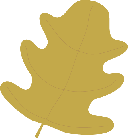 Oak Leaf Pictures | Free Download Clip Art | Free Clip Art | on ...