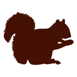 Squirrel illustration logo template - Vector download