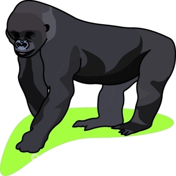 Search Results - Search Results for gorilla clipart Pictures ...