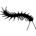 centipede4_.gif