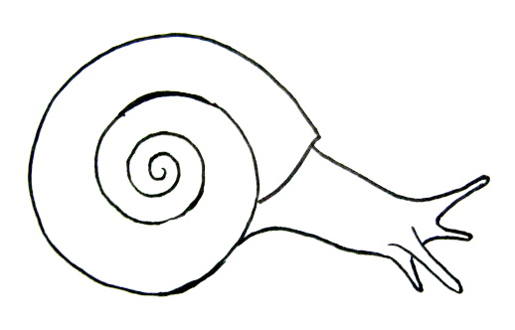 How to draw a Snail