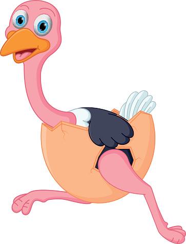 Running Ostrich Clip Art, Vector Images & Illustrations