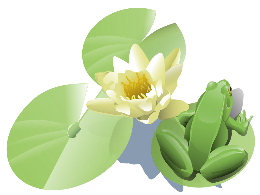 Lily Pad Cartoon | Free Download Clip Art | Free Clip Art | on ...