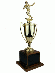 Cheap Trophies for Fantasy Football | Fantasy Trophies