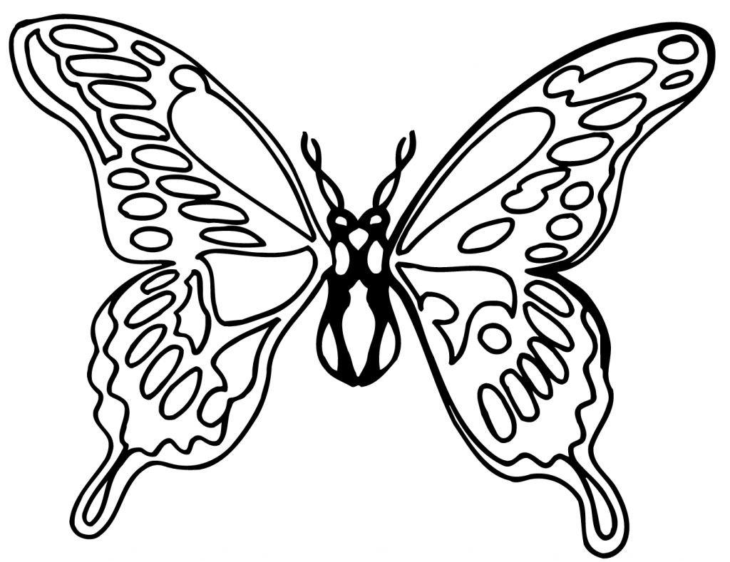 Best Butterfly Drawing - Drawing Art Library