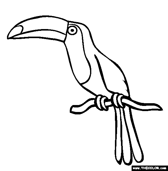 Bird Online Coloring Pages | Page 1