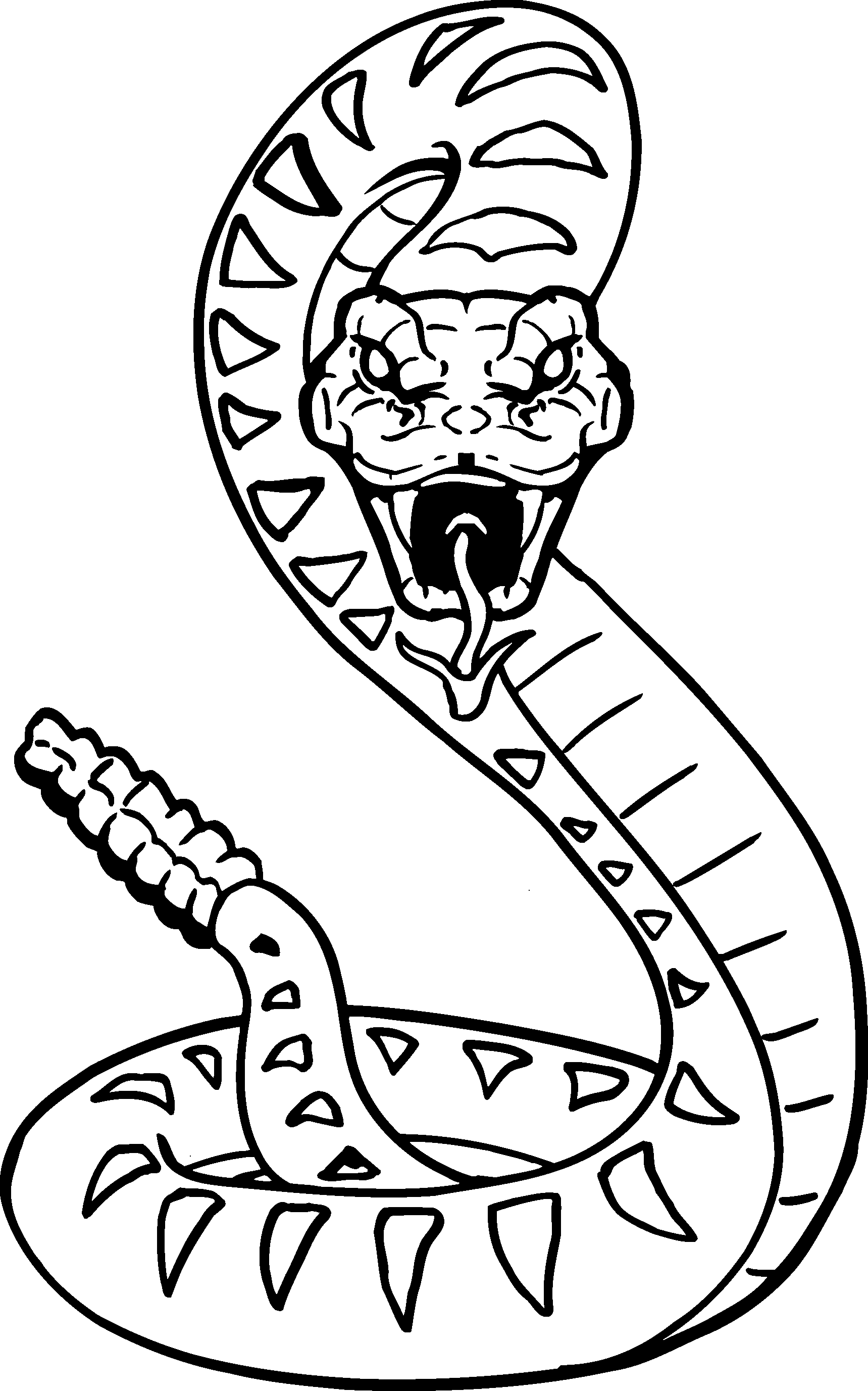 Coloring to print : Animals - Reptiles - Snake number 218475