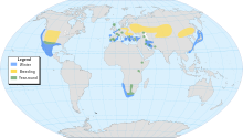 220px-Black-necked_Grebe-map- ...