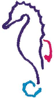 Animals Embroidery Design: Sea Horse Outline from Dakota Collectibles