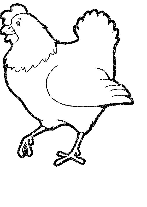 Chicken Outline - AZ Coloring Pages