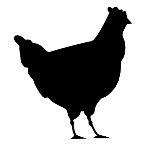 CHICKEN clipart, cliparts of CHICKEN free download (wmf, eps, emf ...