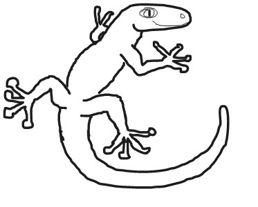 Gecko Drawing - ClipArt Best