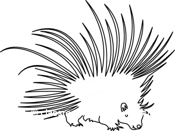 Porcupine Clip Art Free - Free Clipart Images