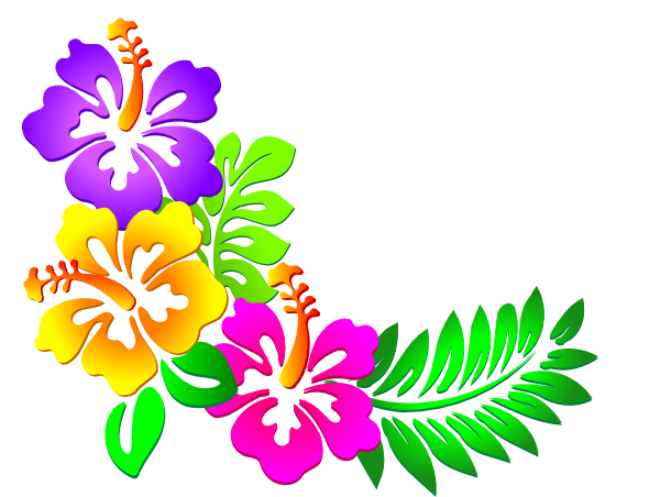 Hawaiian Graphics