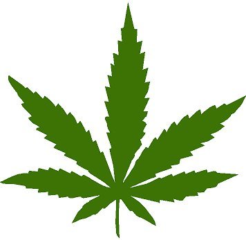 Amazon.com - WALL PATTERN DECAL WEED MARIJUANA POT PLANT LEAF ...