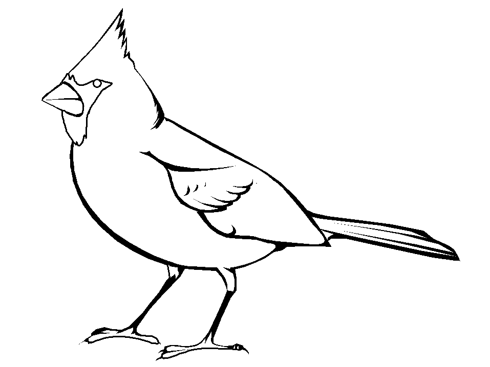 Red Cardinal Outline - ClipArt Best